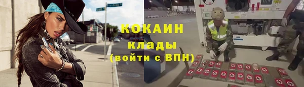 стафф Абинск