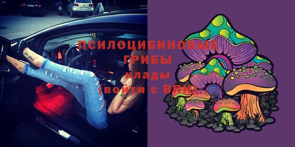 стафф Абинск