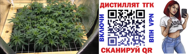 хочу   hydra маркетплейс  Дистиллят ТГК вейп  Кострома 