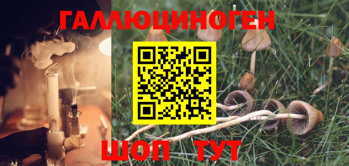 Галлюциногенные грибы Magic Shrooms  Галлюциногенные грибы Cubensis  Вход с VPN  Кострома 